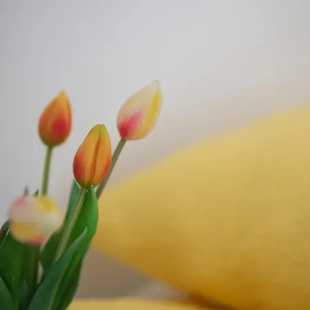 Apartma Eva Lejlighed Krško
