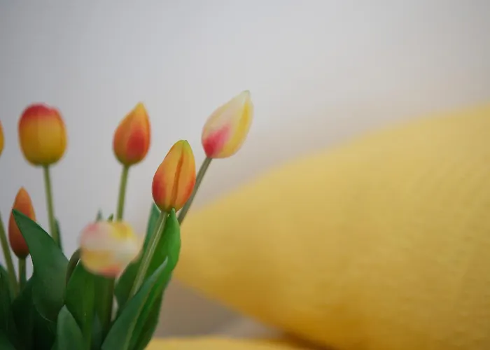 Apartma Eva Lejlighed Krško